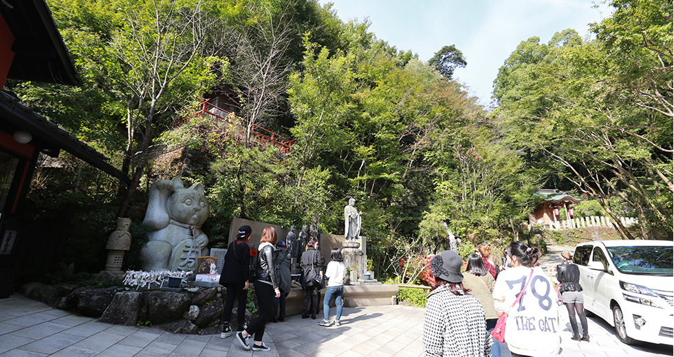 20141112150216[3].jpg