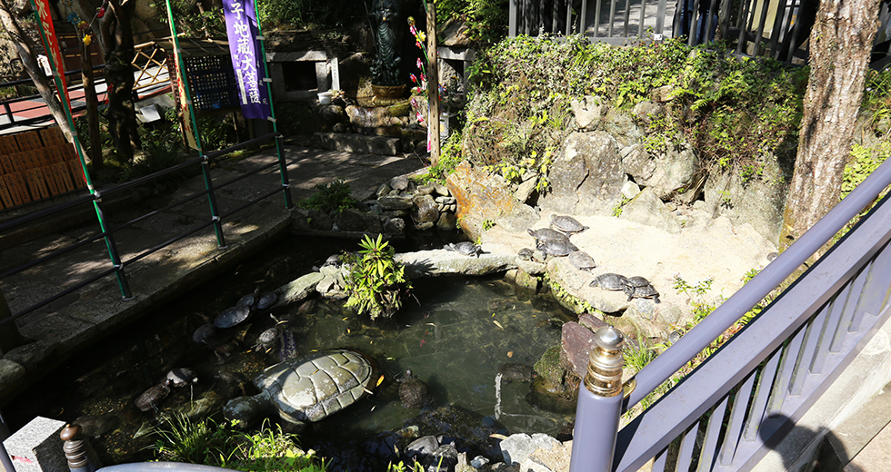 20141112150217[2].jpg